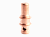Катод (CS 81) IVB0604